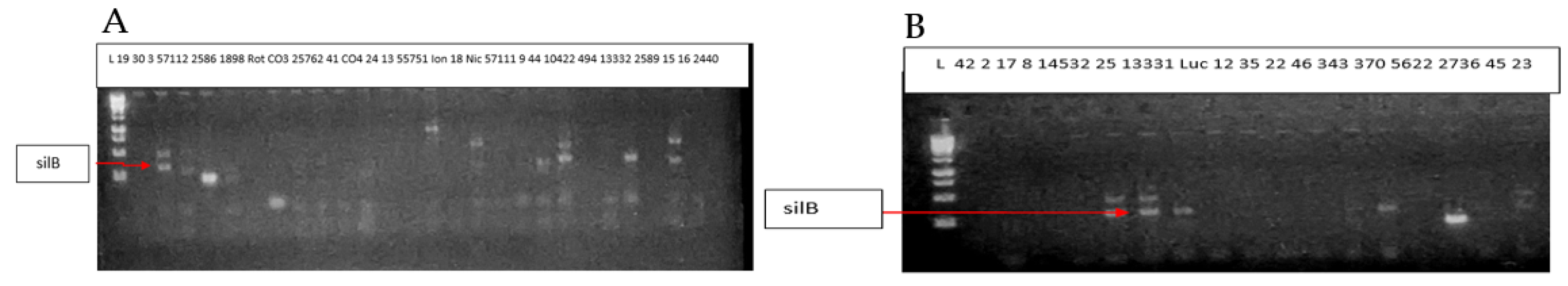 Applsci 12 04801 g005