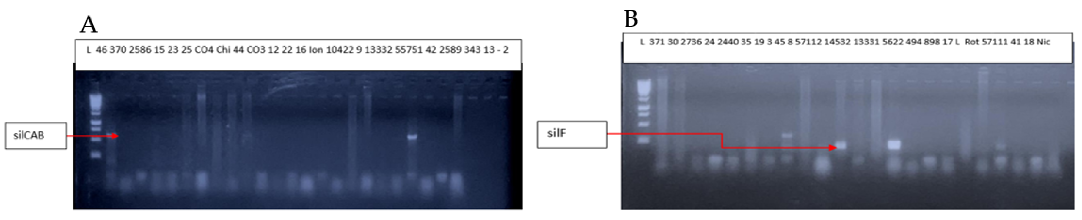 Applsci 12 04801 g006