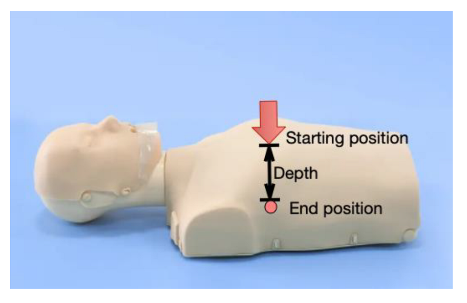 Applsci 12 04847 g005