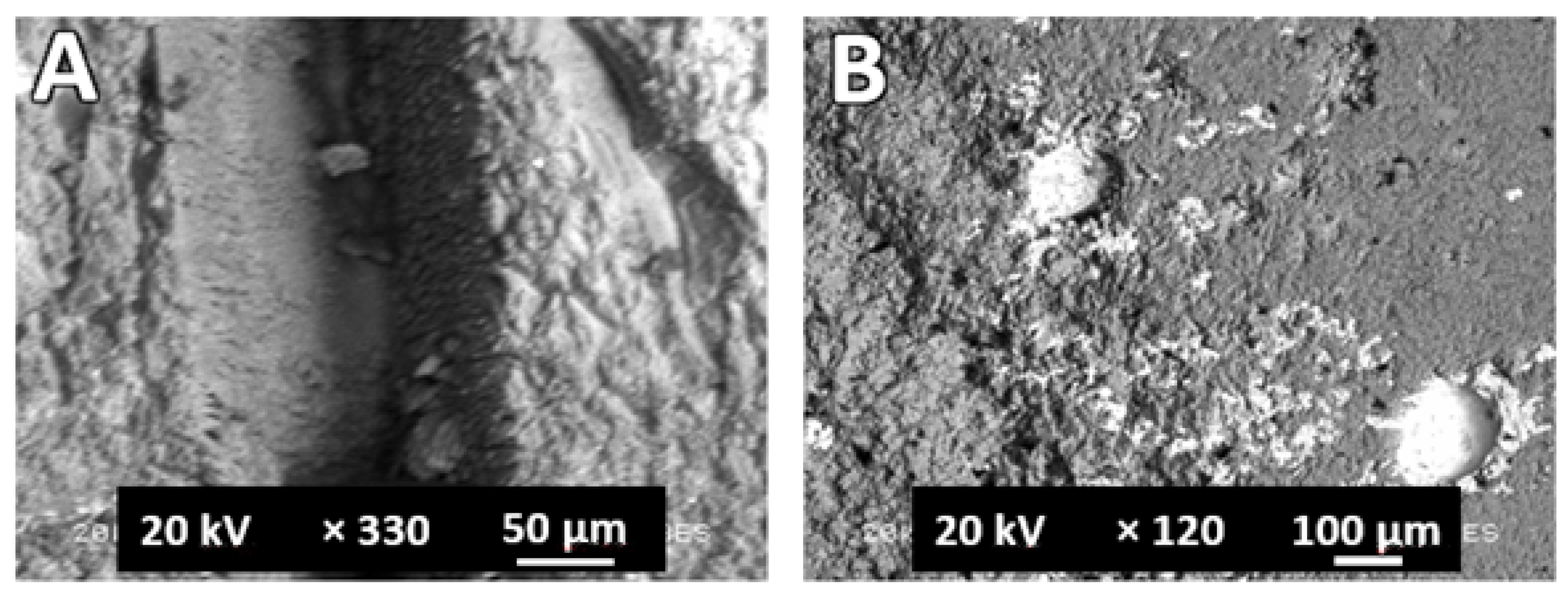 Applsci 12 04869 g011 Applsci 12 04869 g011