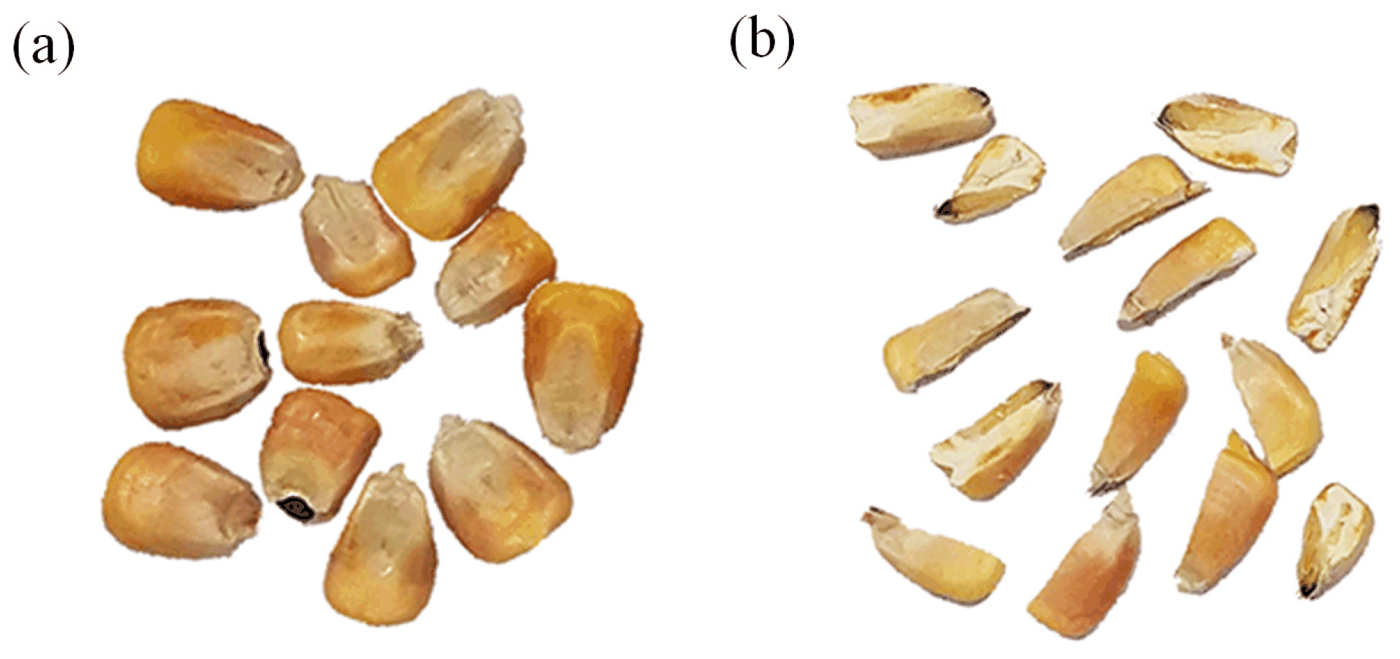 Applsci 12 04870 g001