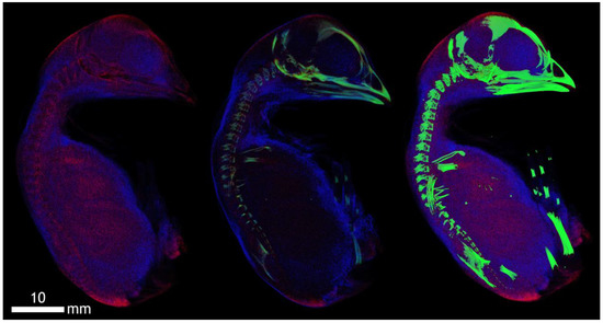 Applsci 12 04918 g0a1