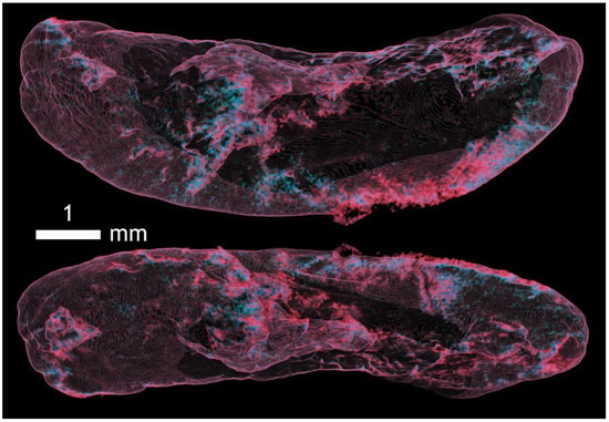 Applsci 12 04918 g0a10