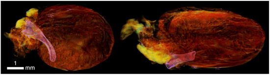 Applsci 12 04918 g0a11