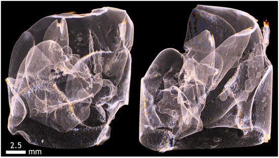 Applsci 12 04918 g0a12