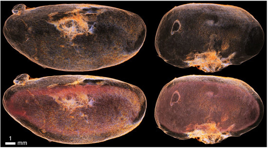 Applsci 12 04918 g0a13