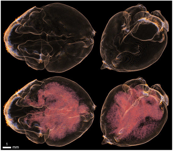 Applsci 12 04918 g0a14