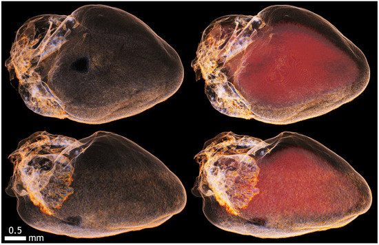 Applsci 12 04918 g0a15