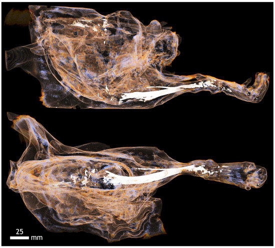 Applsci 12 04918 g0a16