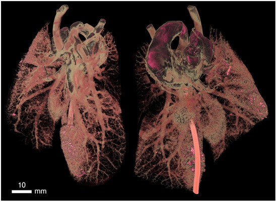 Applsci 12 04918 g0a17