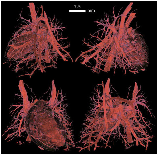 Applsci 12 04918 g0a18