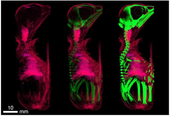 Applsci 12 04918 g0a2