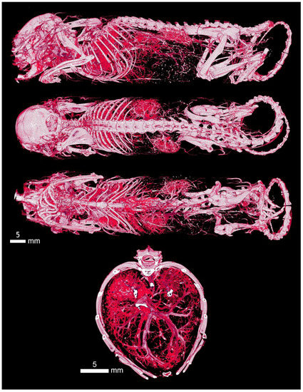Applsci 12 04918 g0a3
