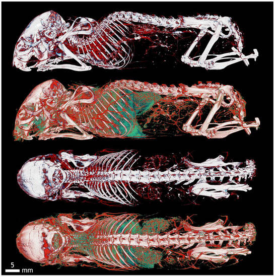 Applsci 12 04918 g0a4