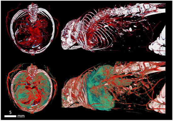 Applsci 12 04918 g0a5