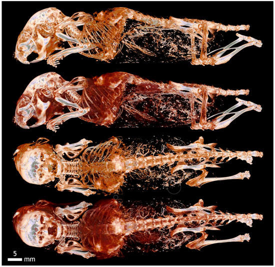 Applsci 12 04918 g0a6