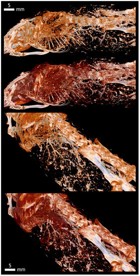 Applsci 12 04918 g0a7