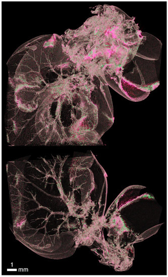 Applsci 12 04918 g0a8