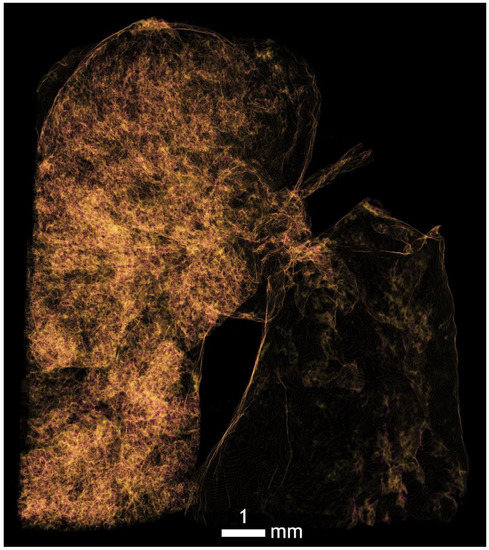 Applsci 12 04918 g0a9