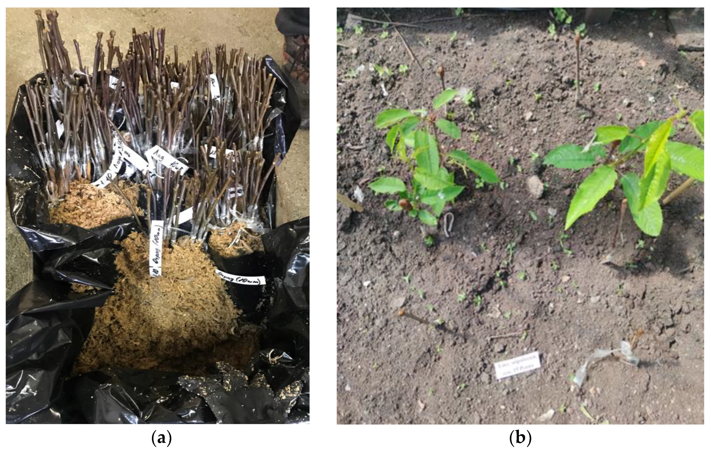 Applsci 12 04953 g003