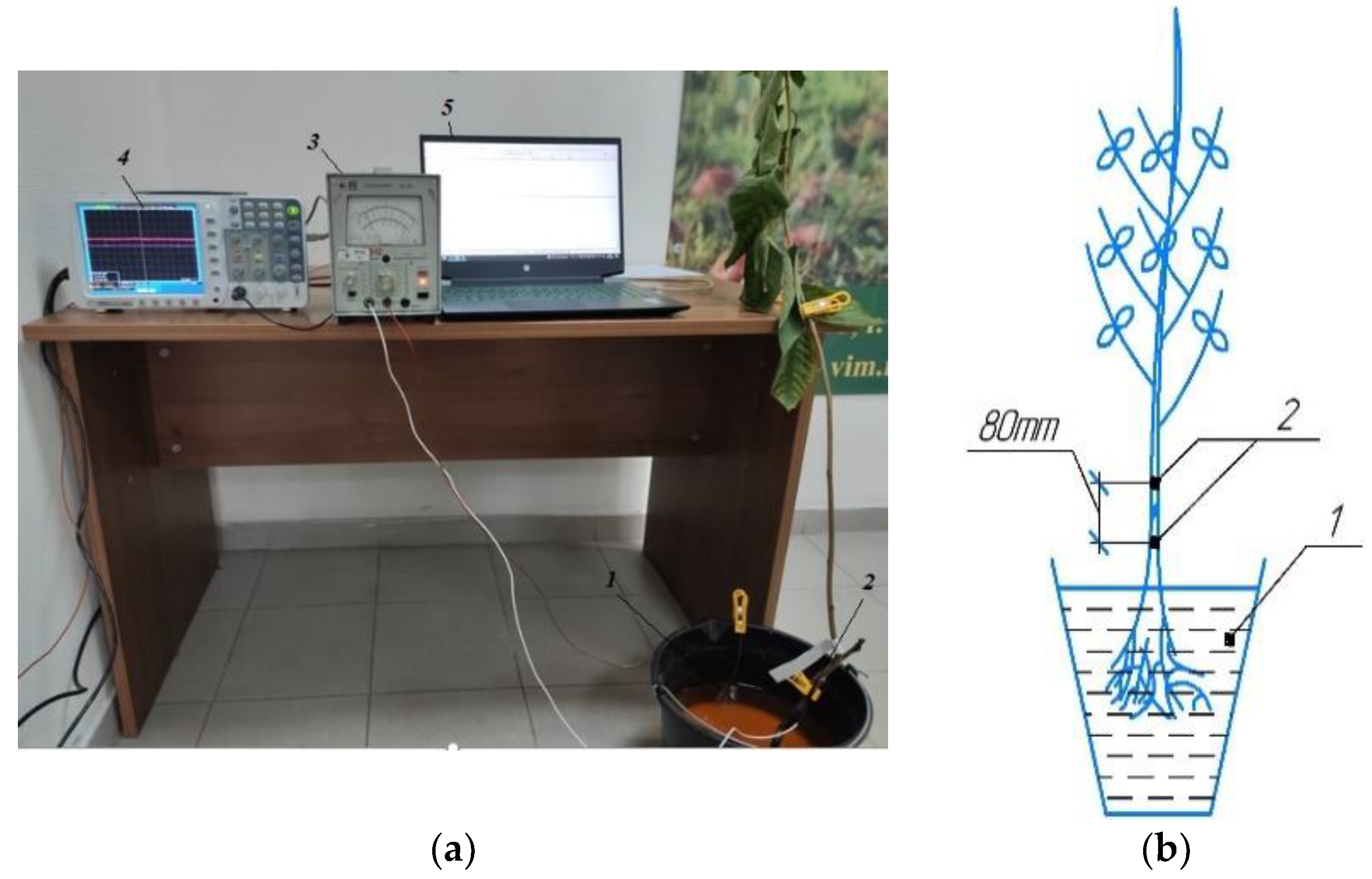 Applsci 12 04953 g004