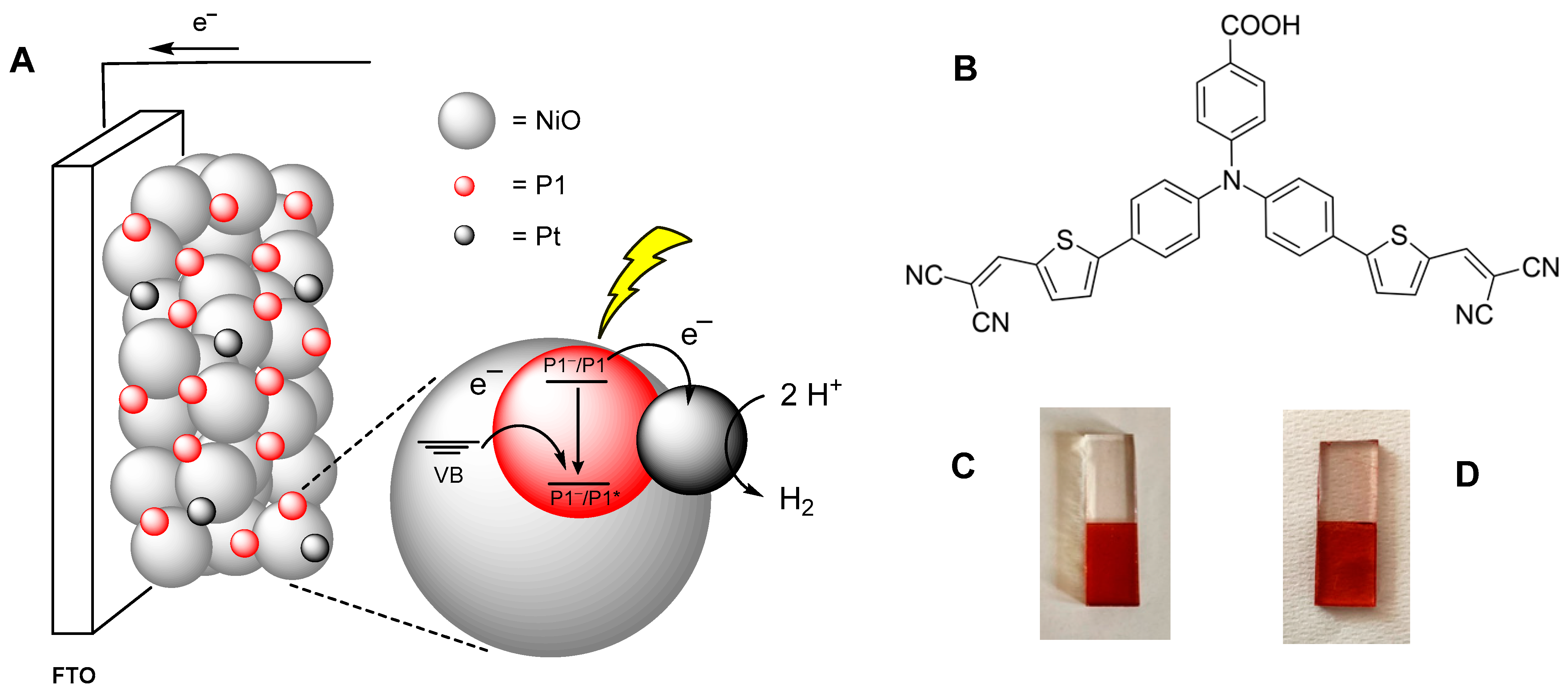 Applsci 12 04955 g001