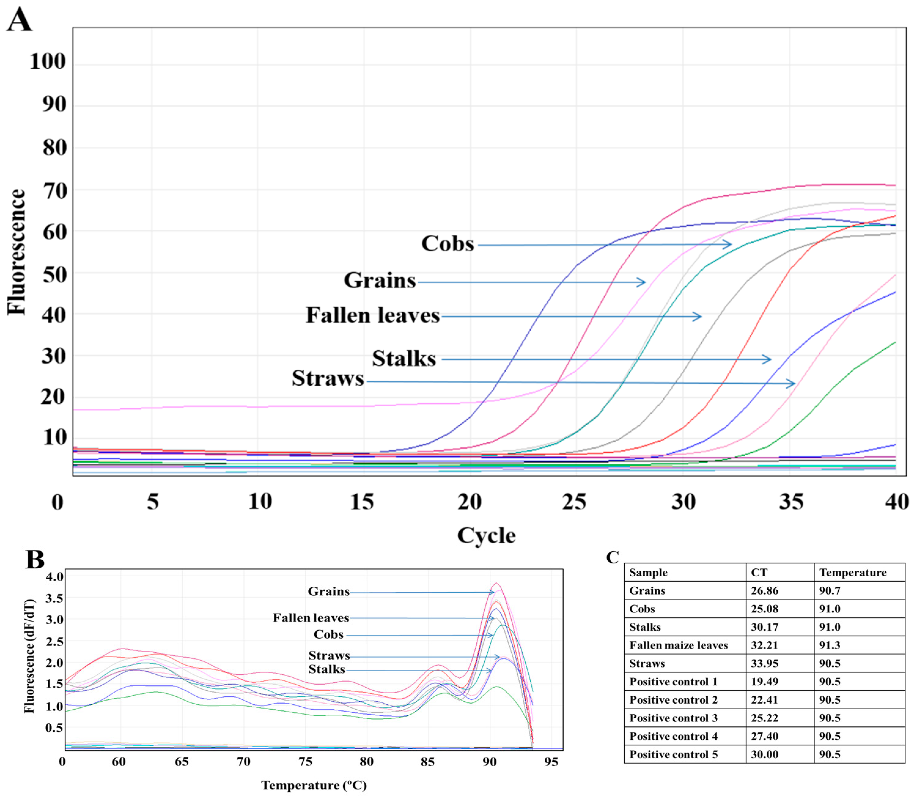 Applsci 12 04974 g002