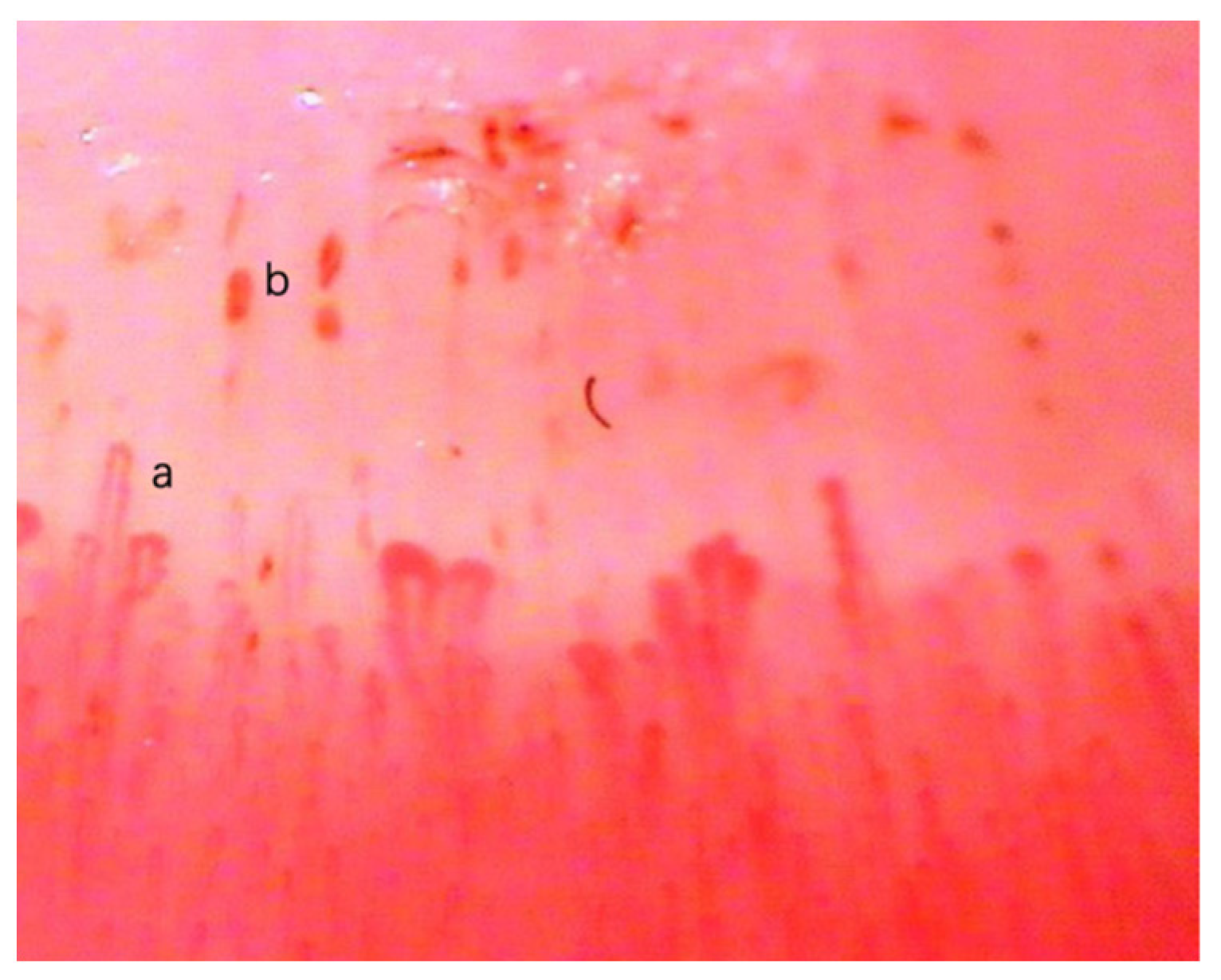 Applsci 12 05068 g001 Applsci 12 05068 g001