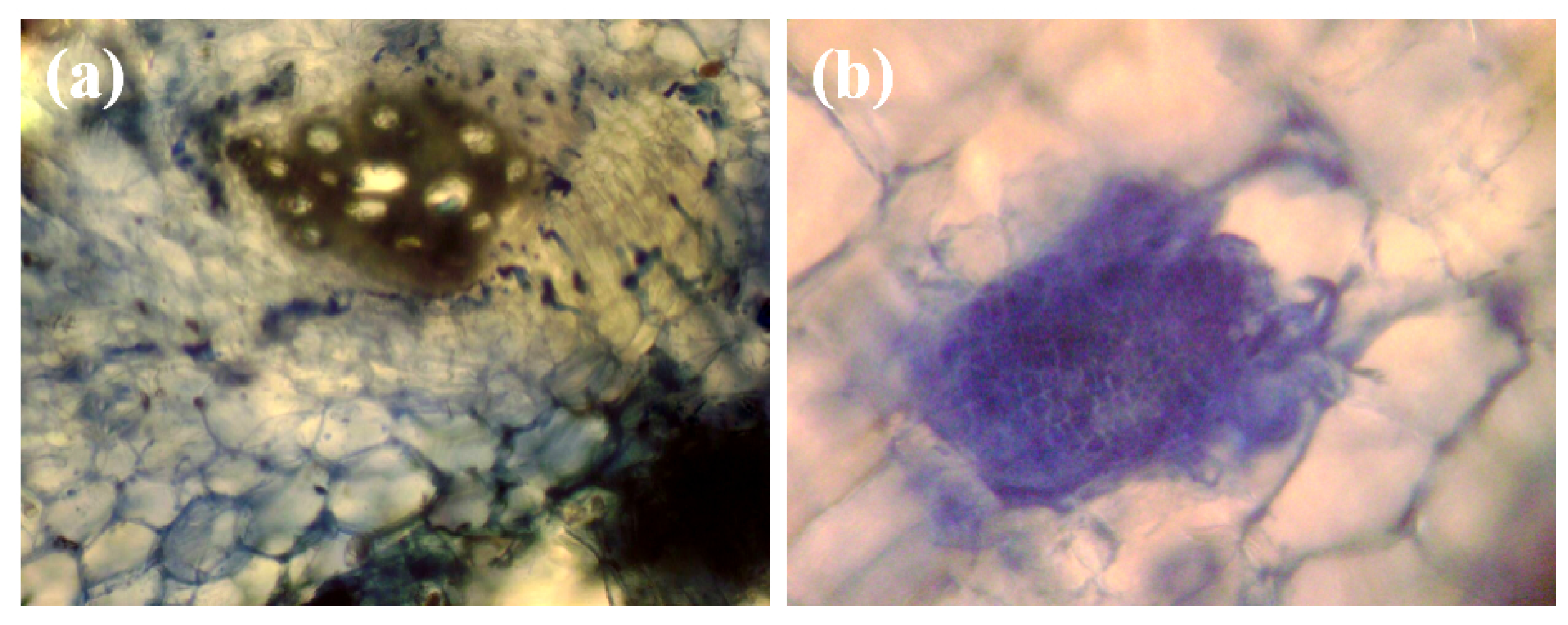 Applsci 12 05085 g002