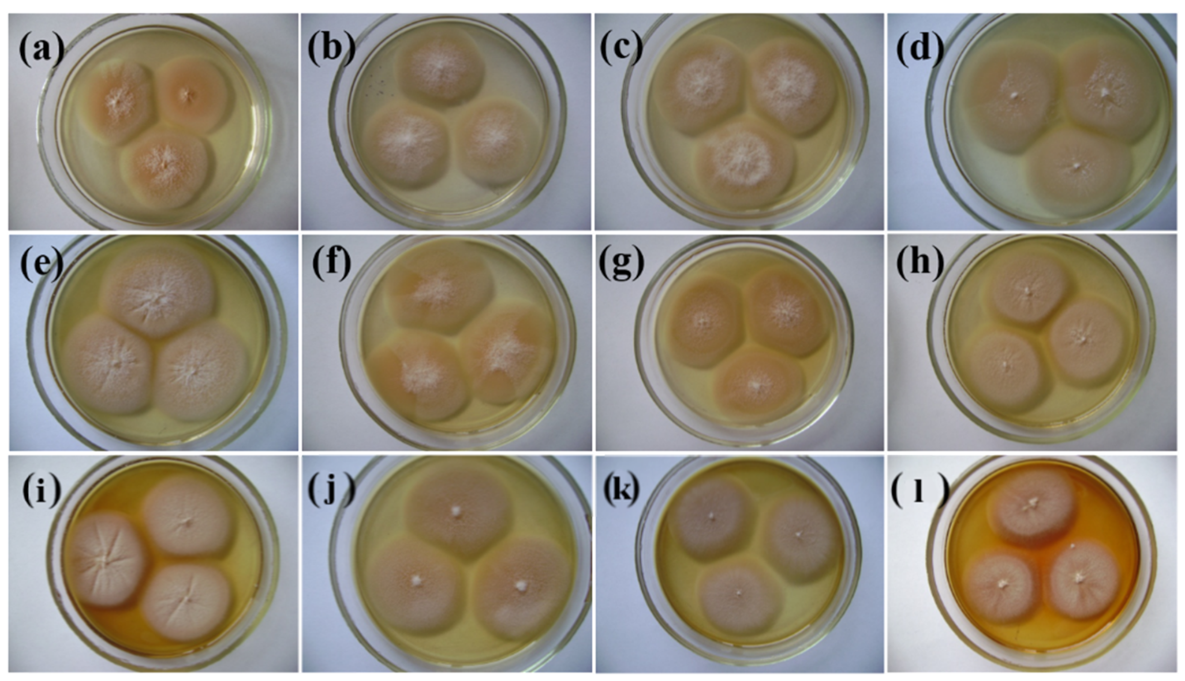 Applsci 12 05085 g003