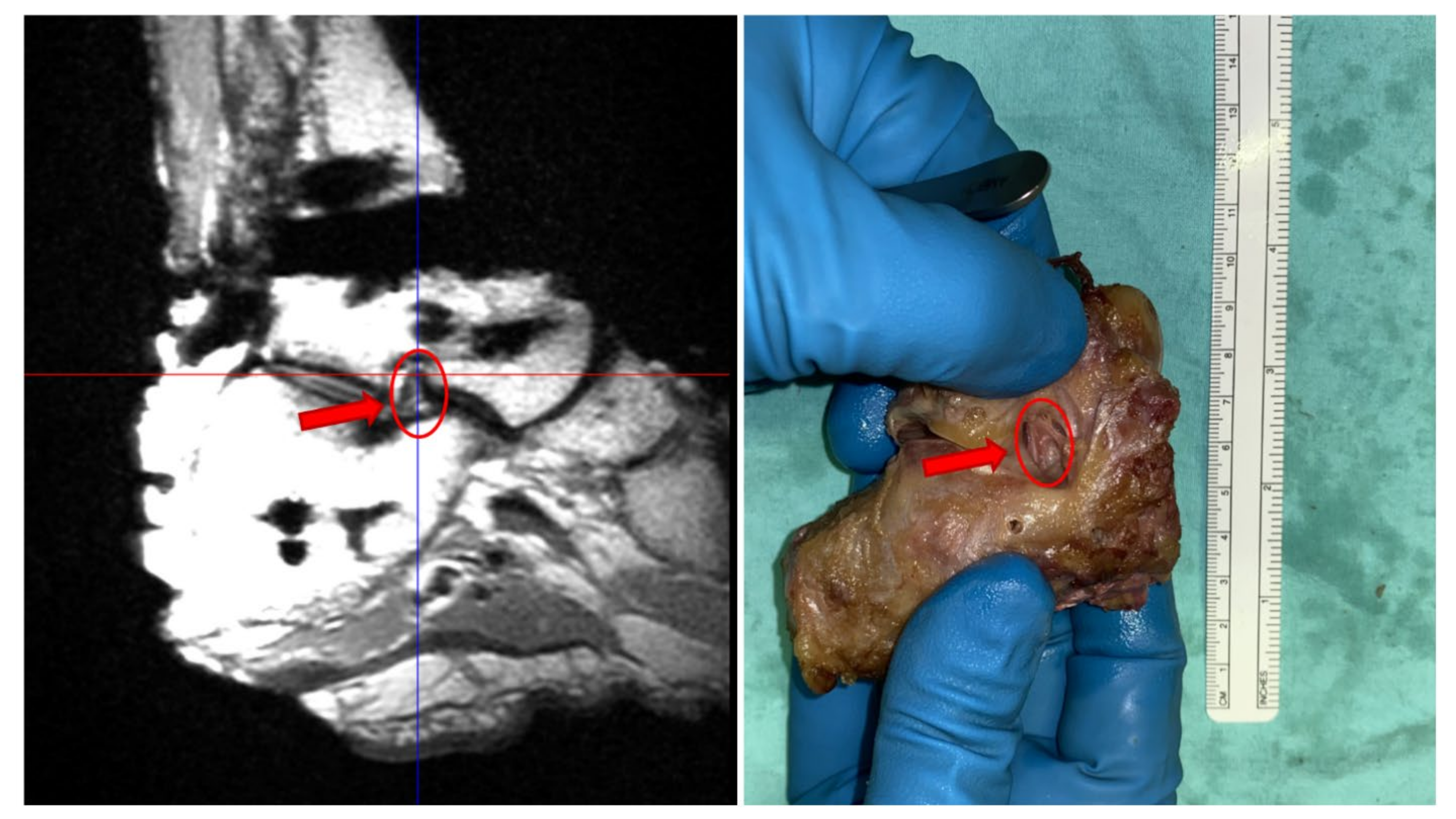 Applsci 12 05087 g002