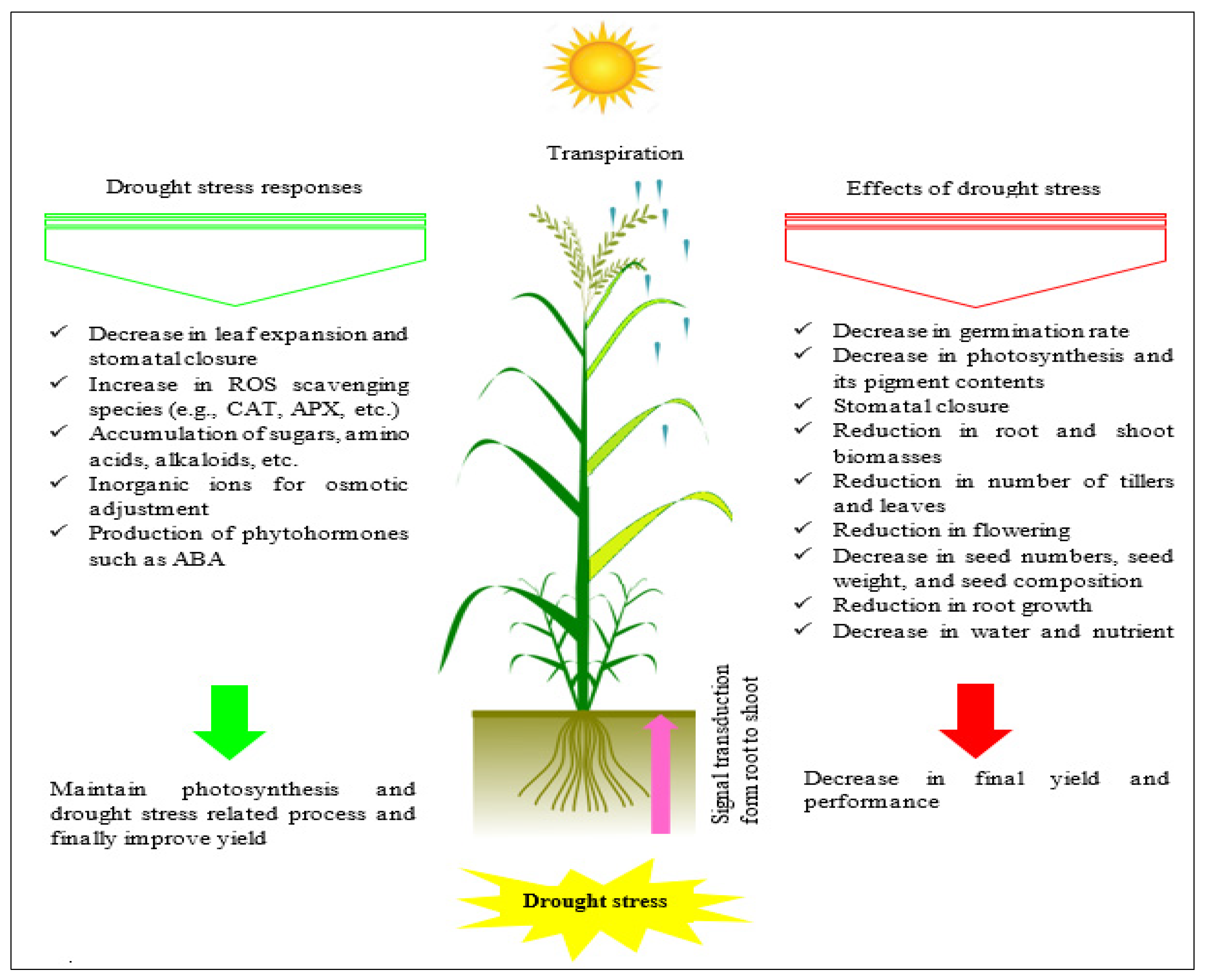 Applsci 12 05189 g003