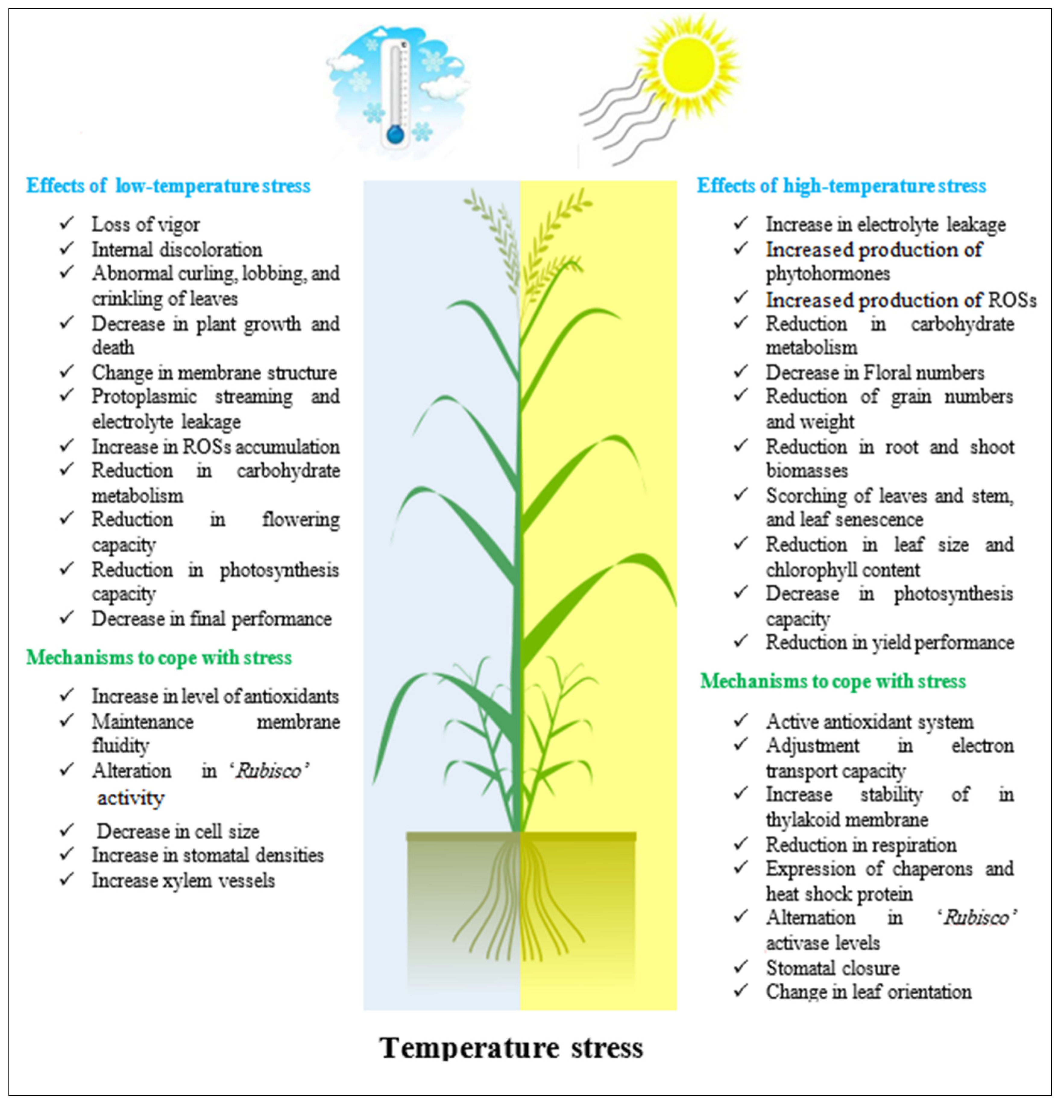 Applsci 12 05189 g004