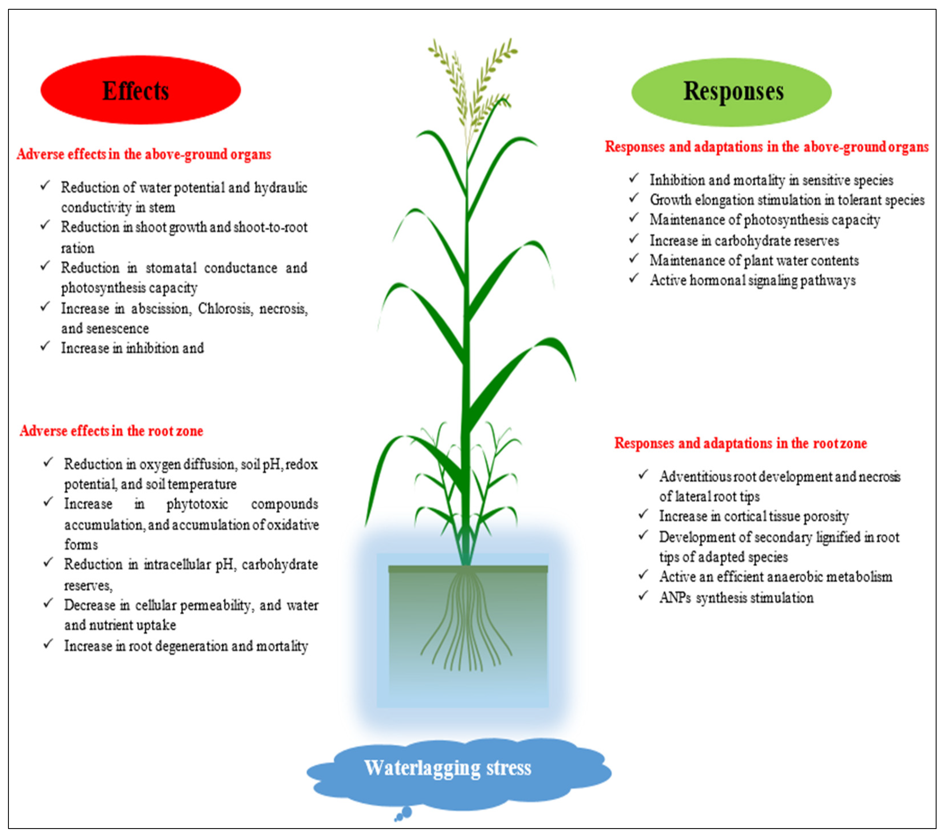 Applsci 12 05189 g005