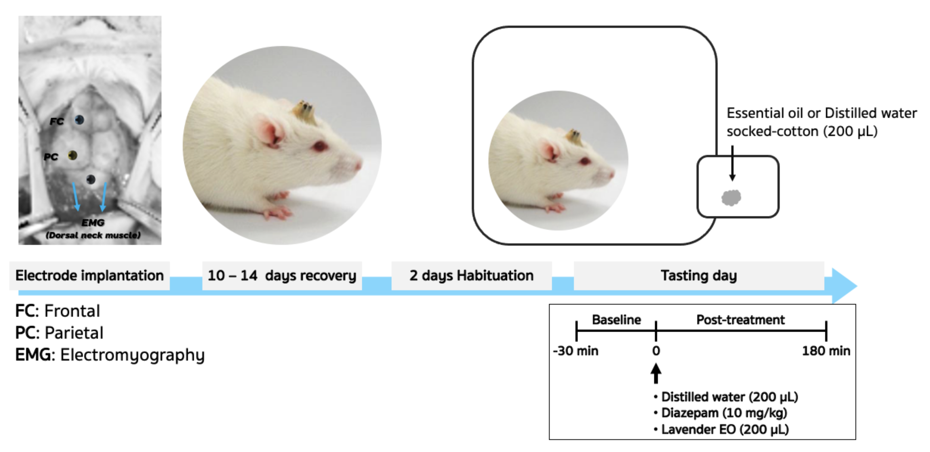 Applsci 12 05248 g001