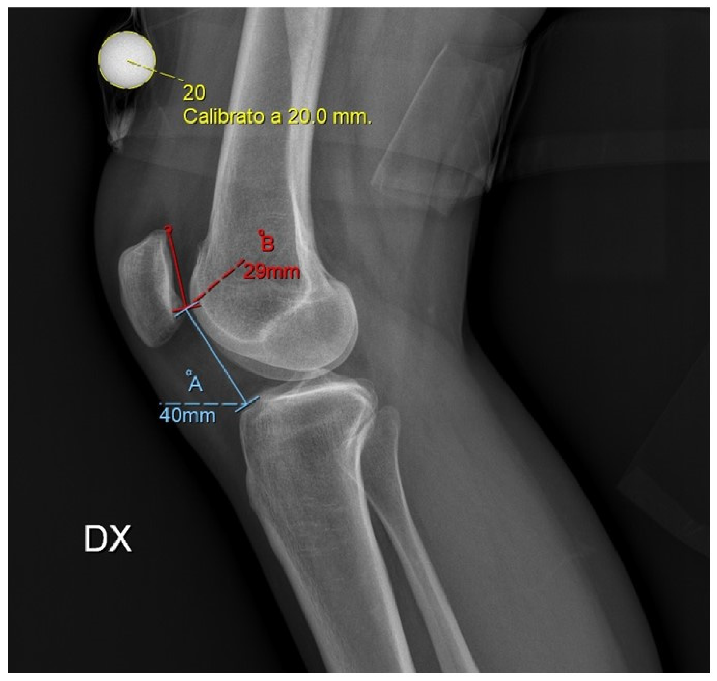 Applsci 12 05251 g001