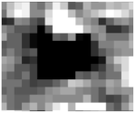 Applsci 12 05312 i010