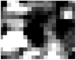 Applsci 12 05312 i013