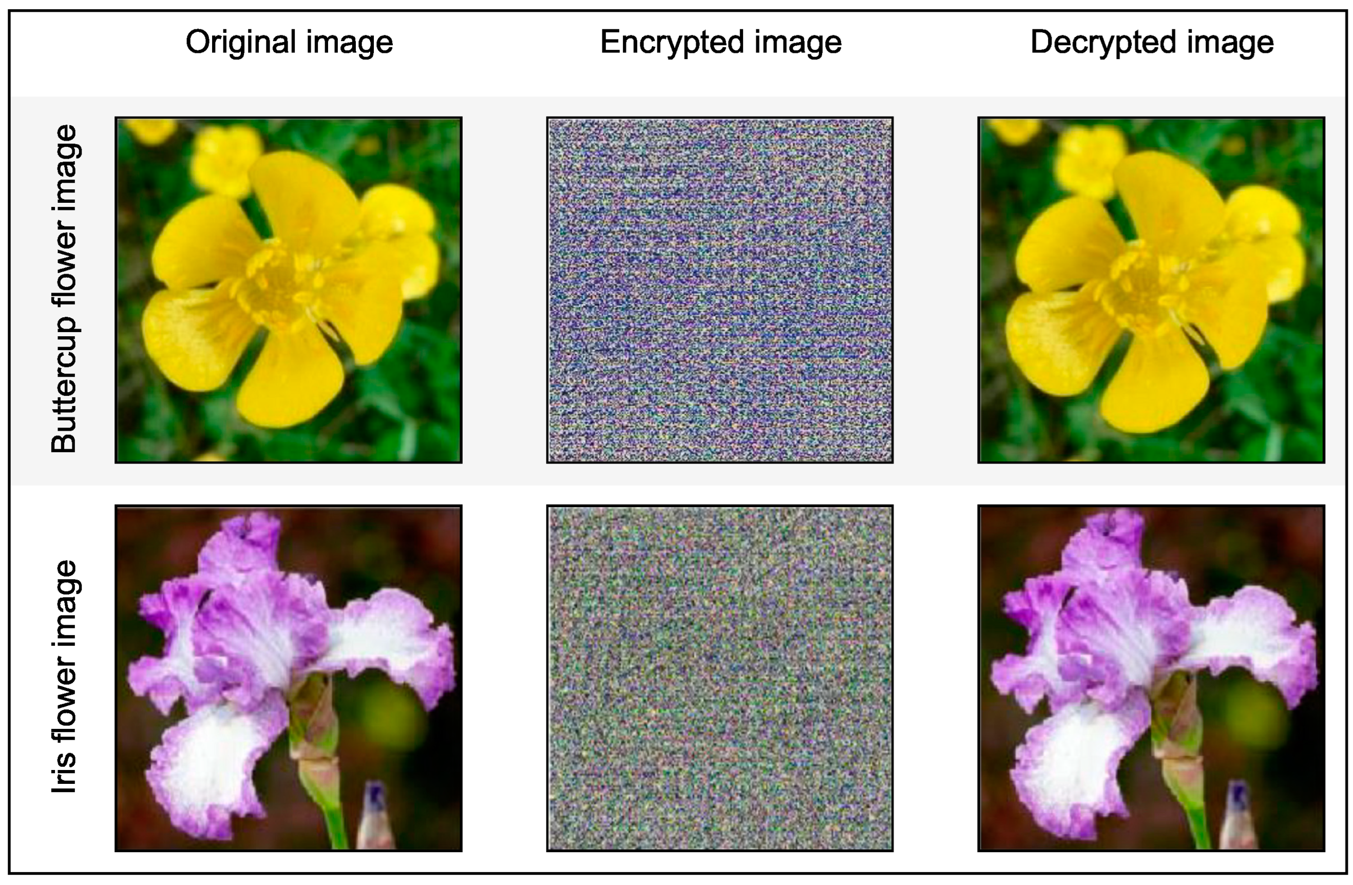 Applsci 12 05321 g012