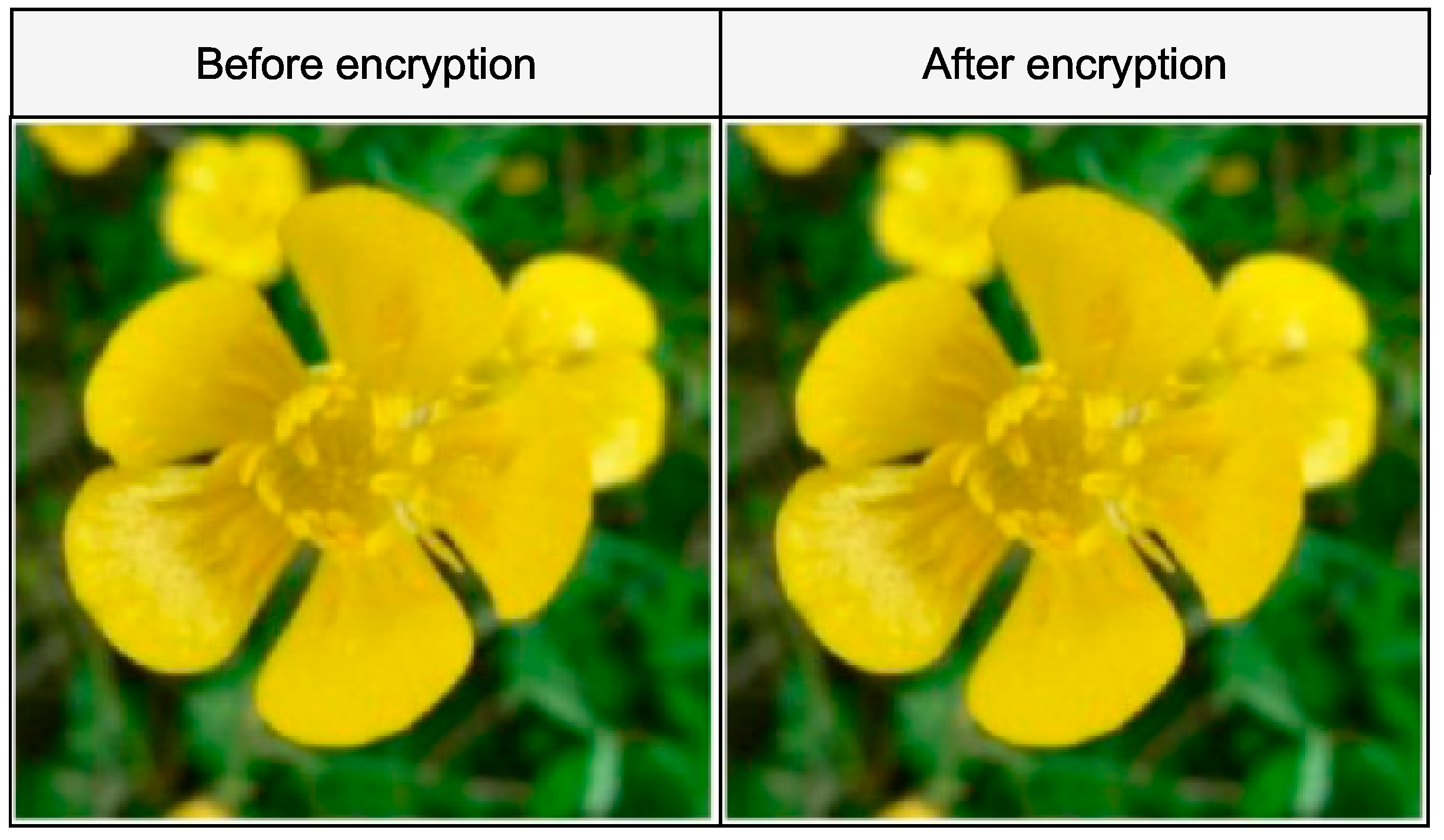 Applsci 12 05321 g013