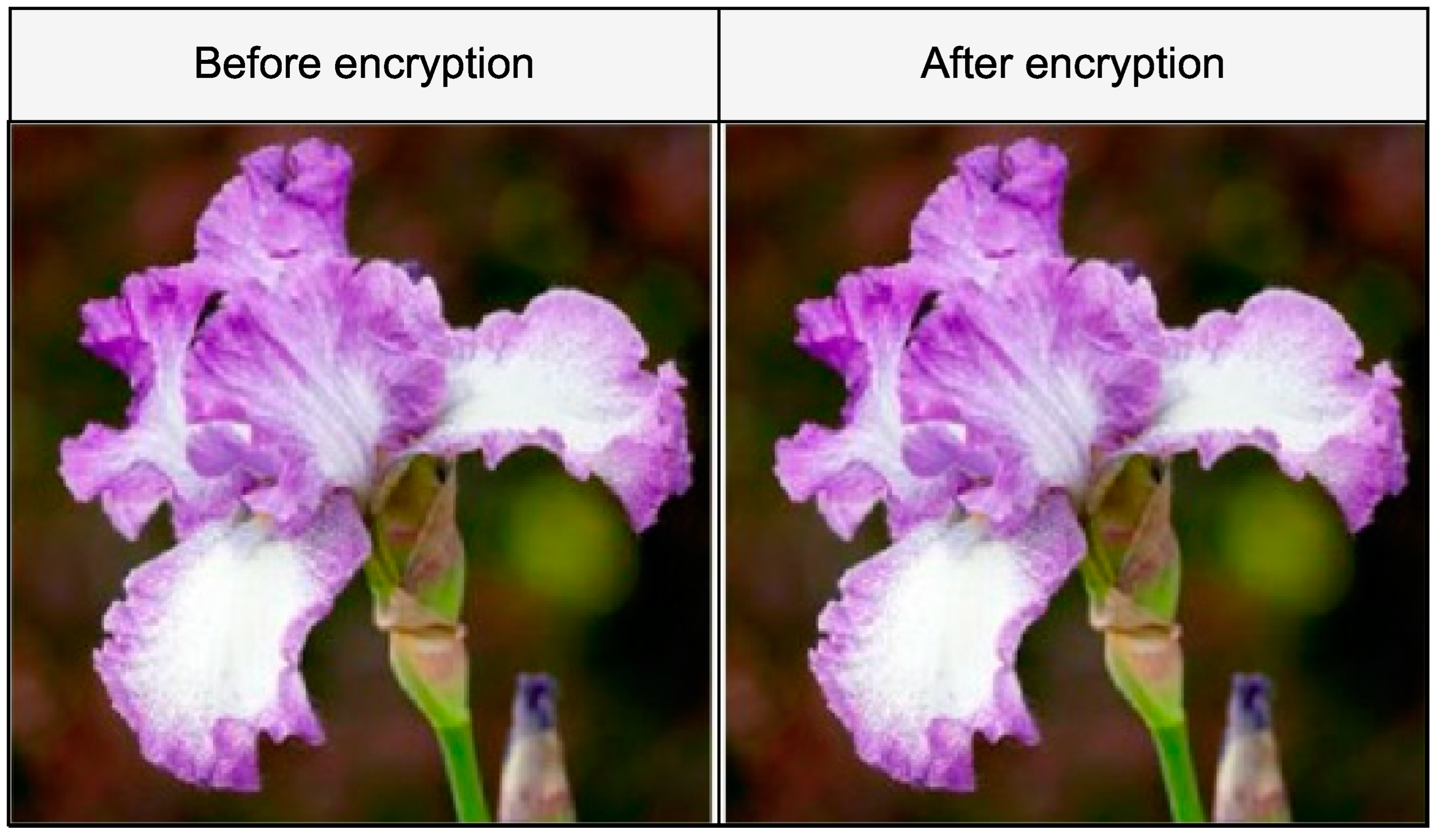 Applsci 12 05321 g016