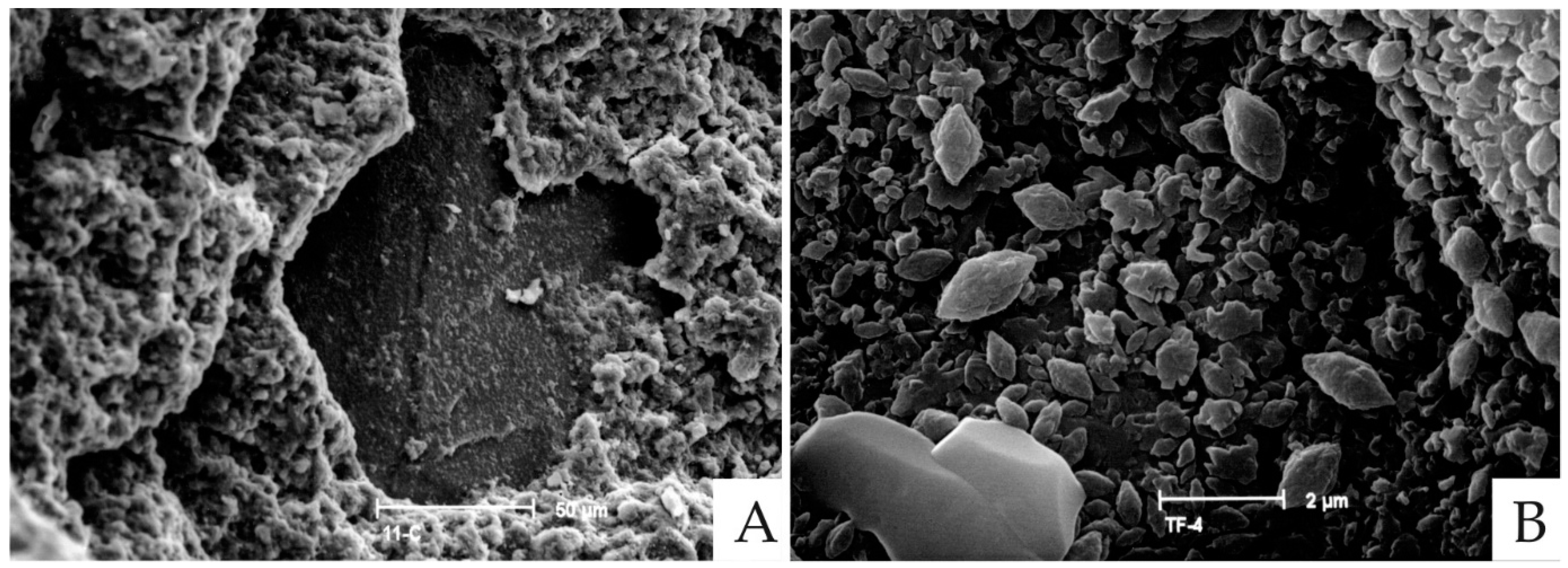 Applsci 12 05330 g004