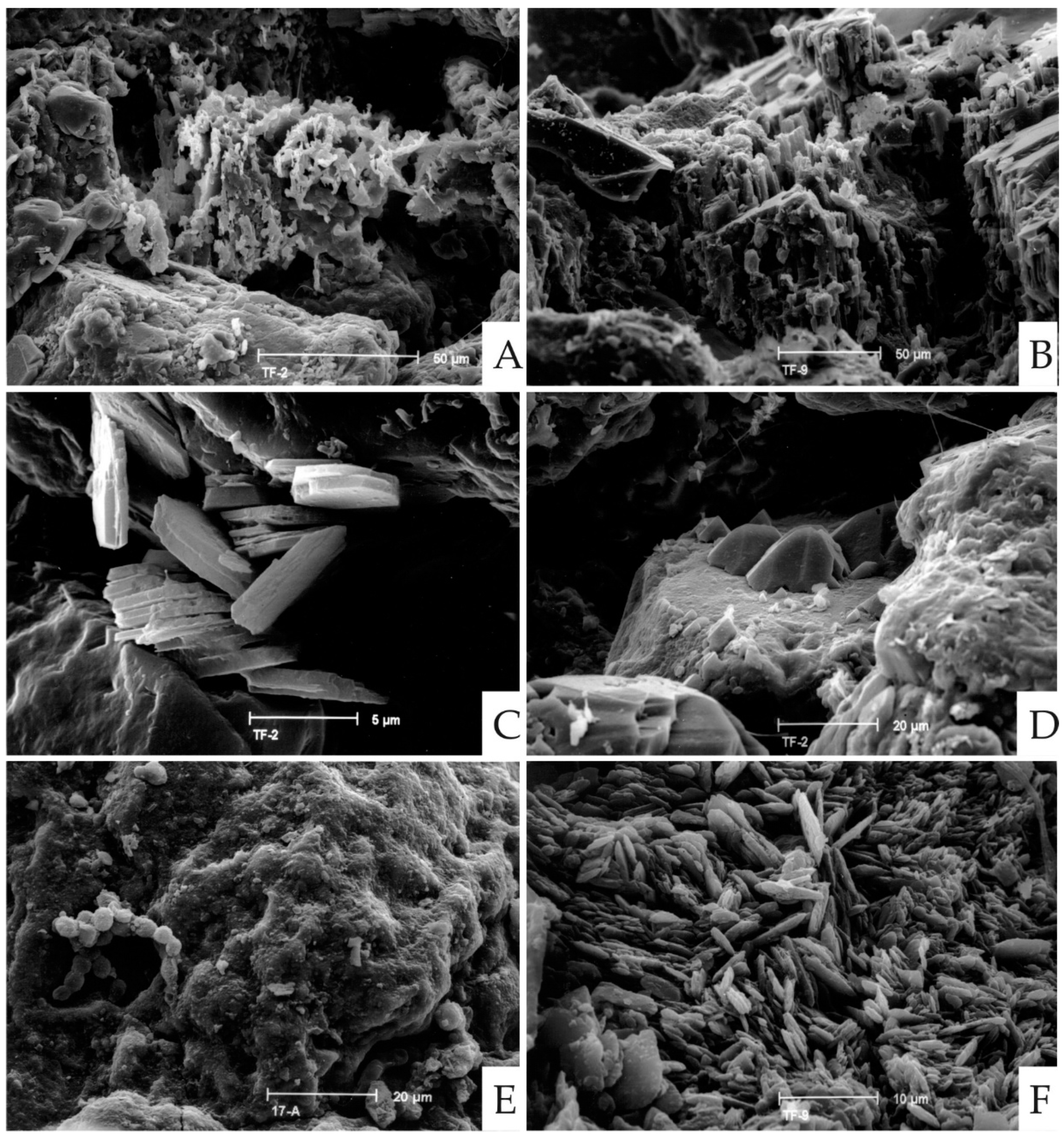 Applsci 12 05330 g005