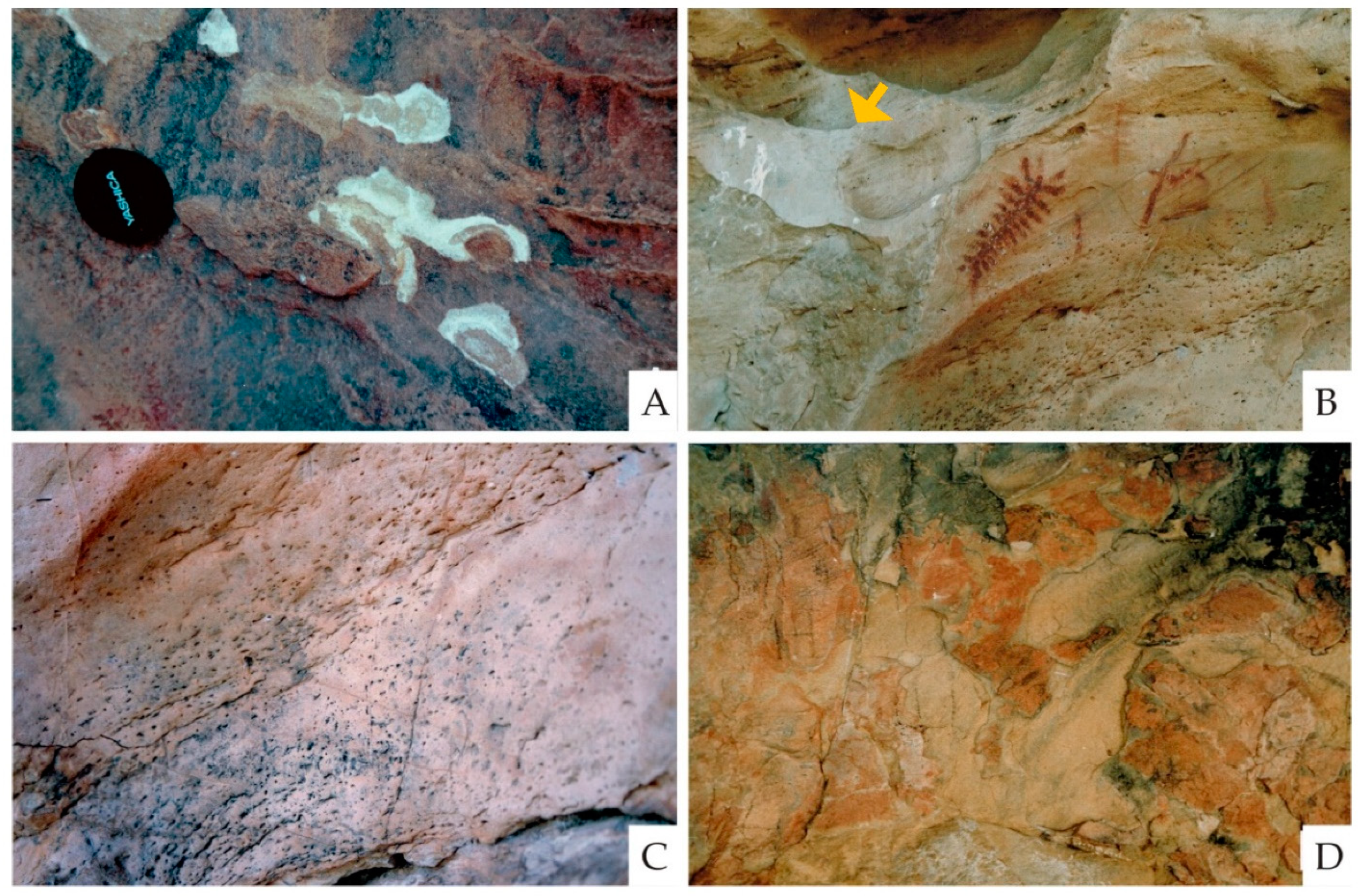 Applsci 12 05330 g006