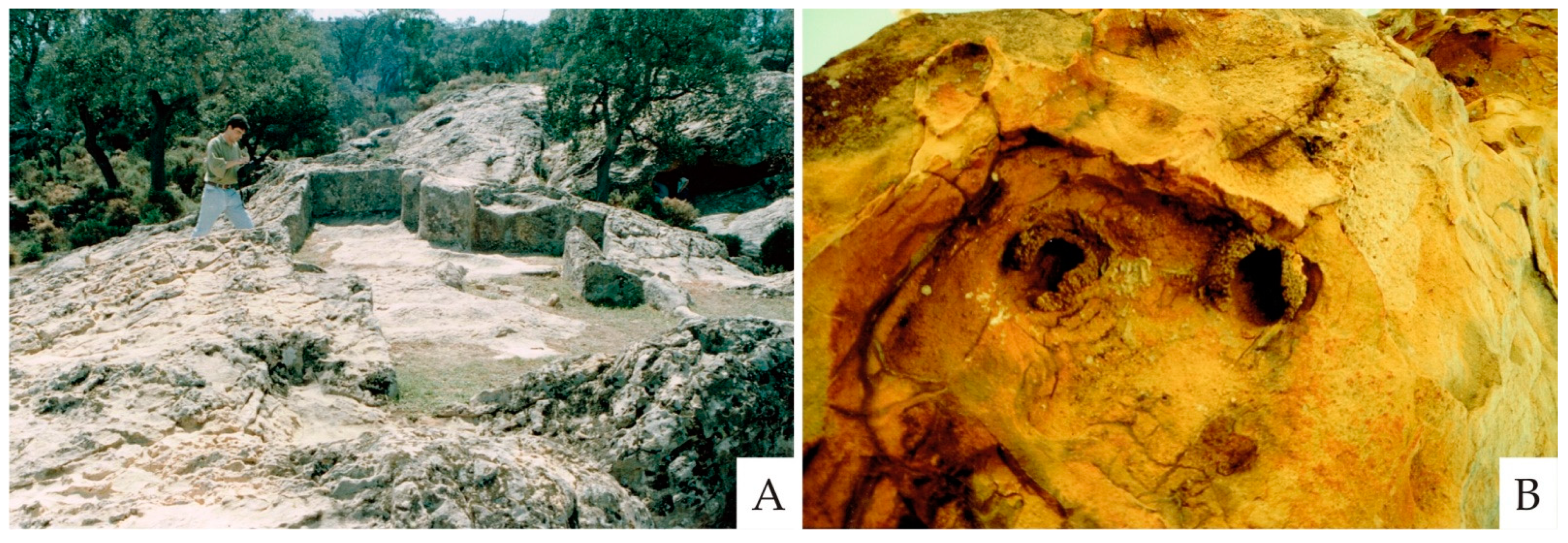 Applsci 12 05330 g007