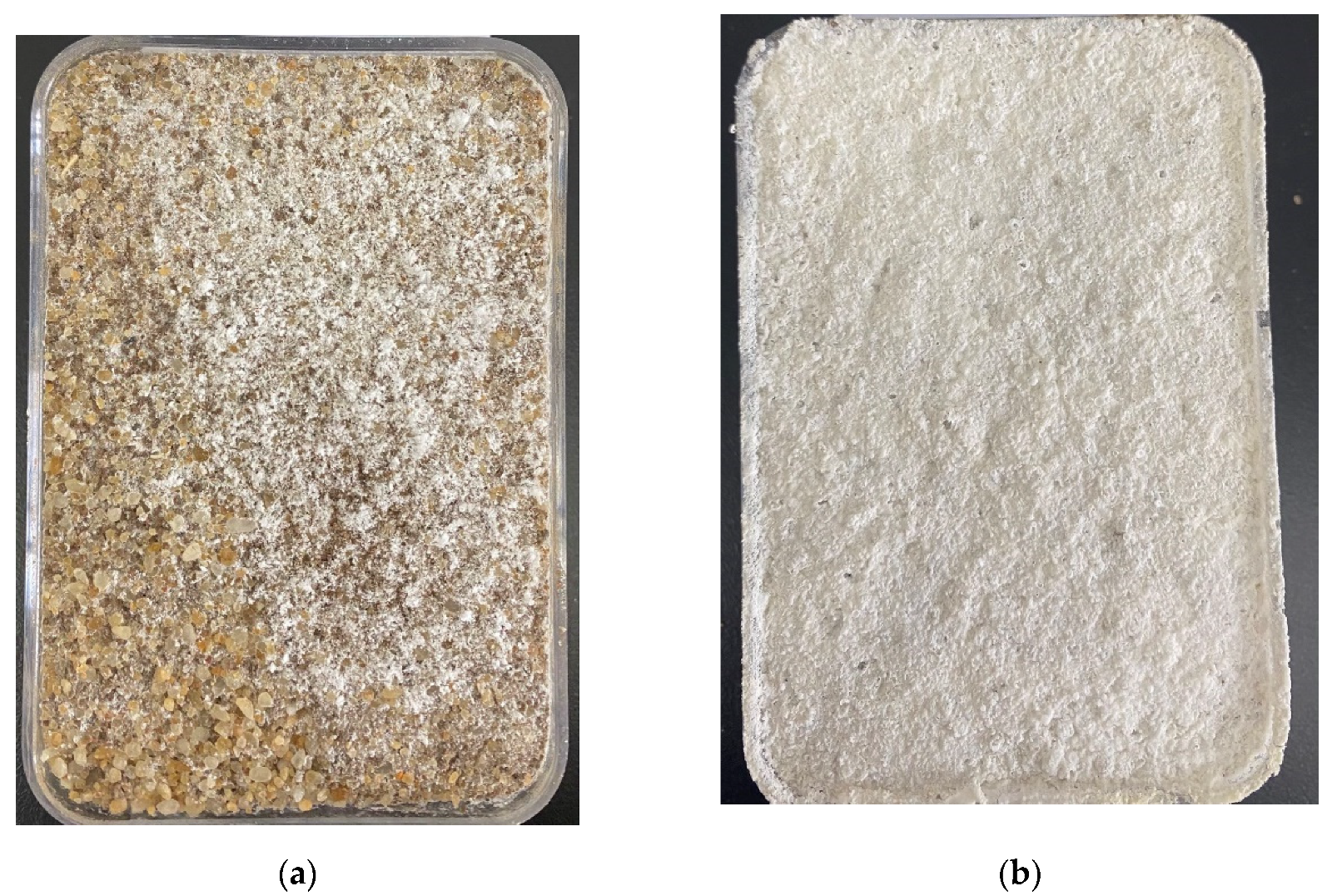 Applsci 12 05360 g007