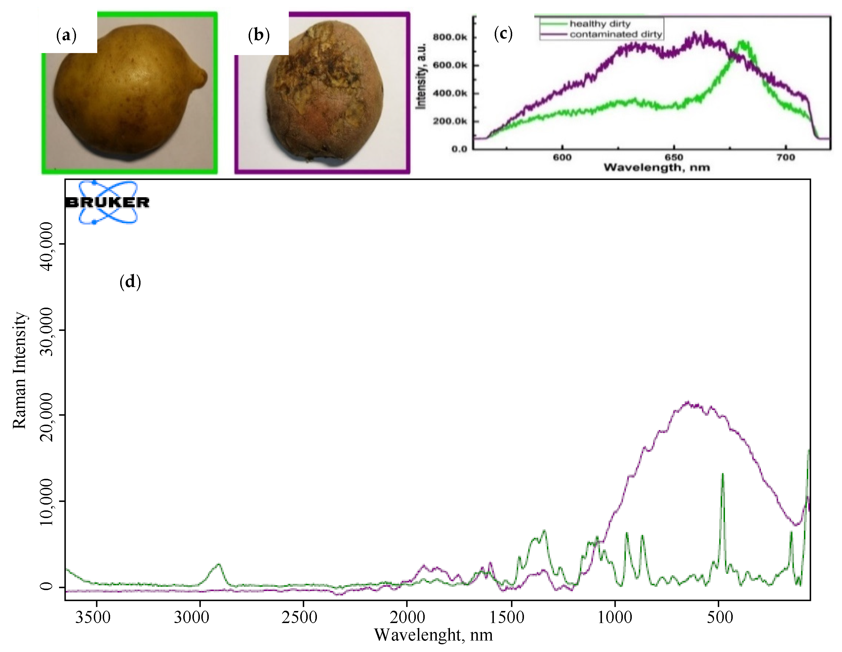 Applsci 12 05391 g008