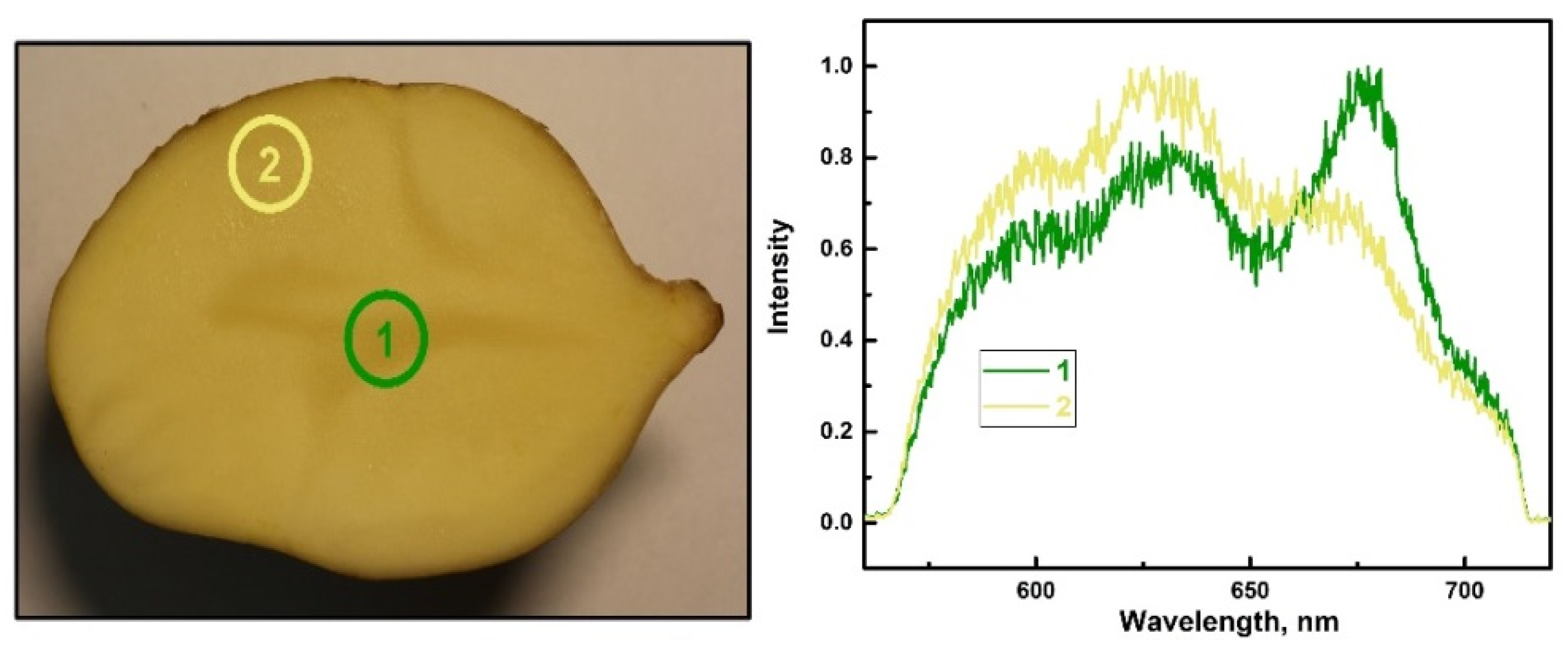 Applsci 12 05391 g010