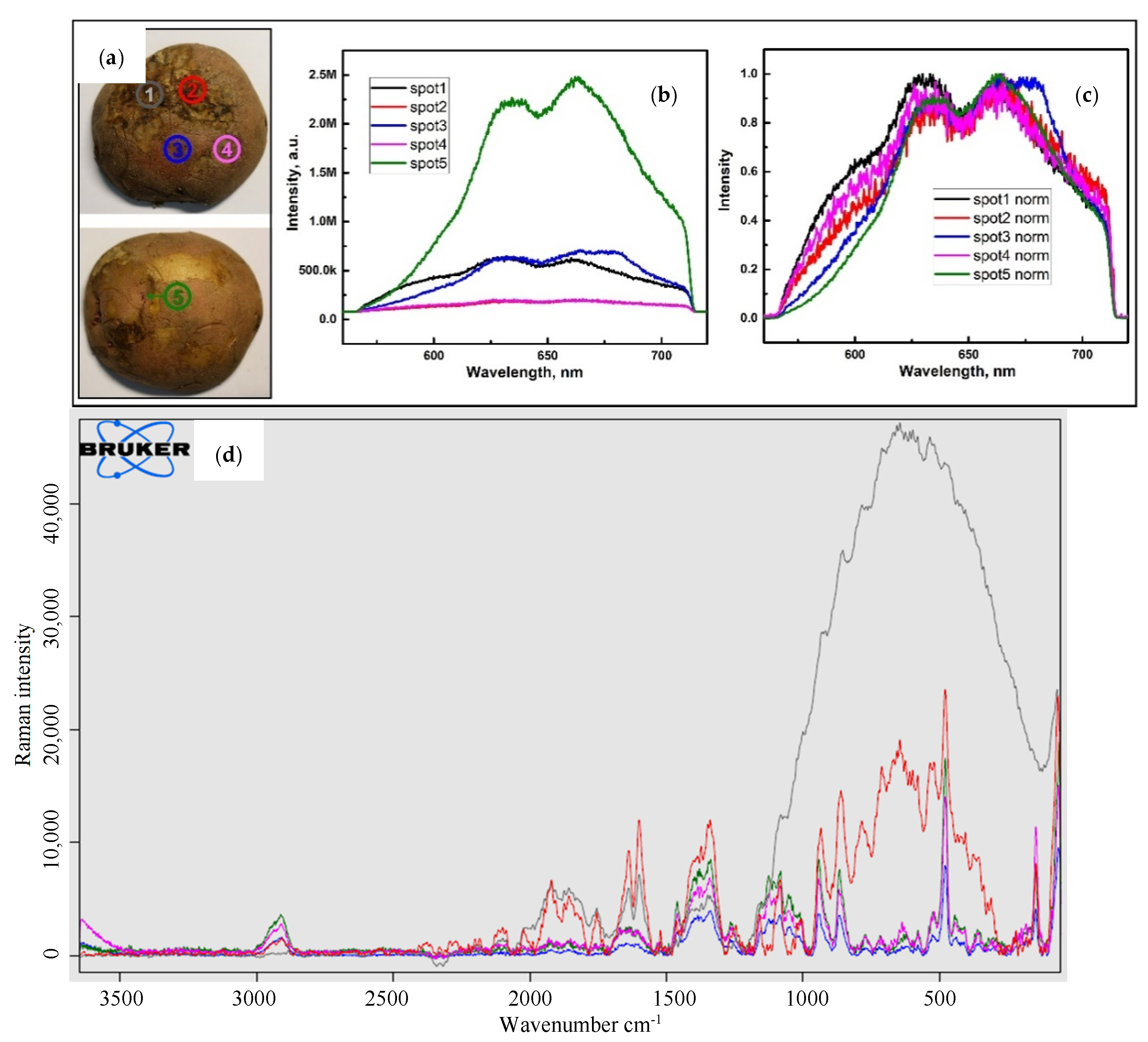 Applsci 12 05391 g012
