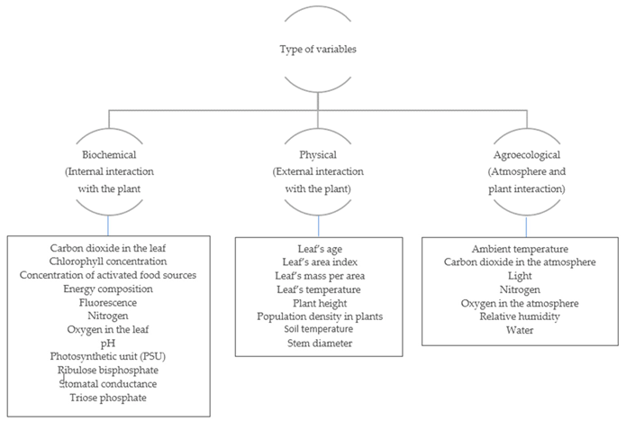 Applsci 12 05537 g004